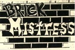Brick Mistress : P.O.W.